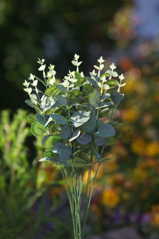 Artificial Eucalyptus Bunch