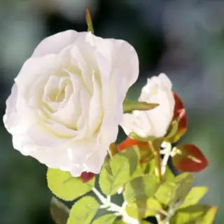 Artificial Ivory Tea Rose