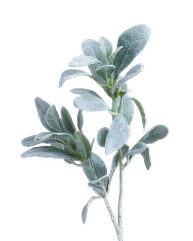 Artificial Lambs Ears