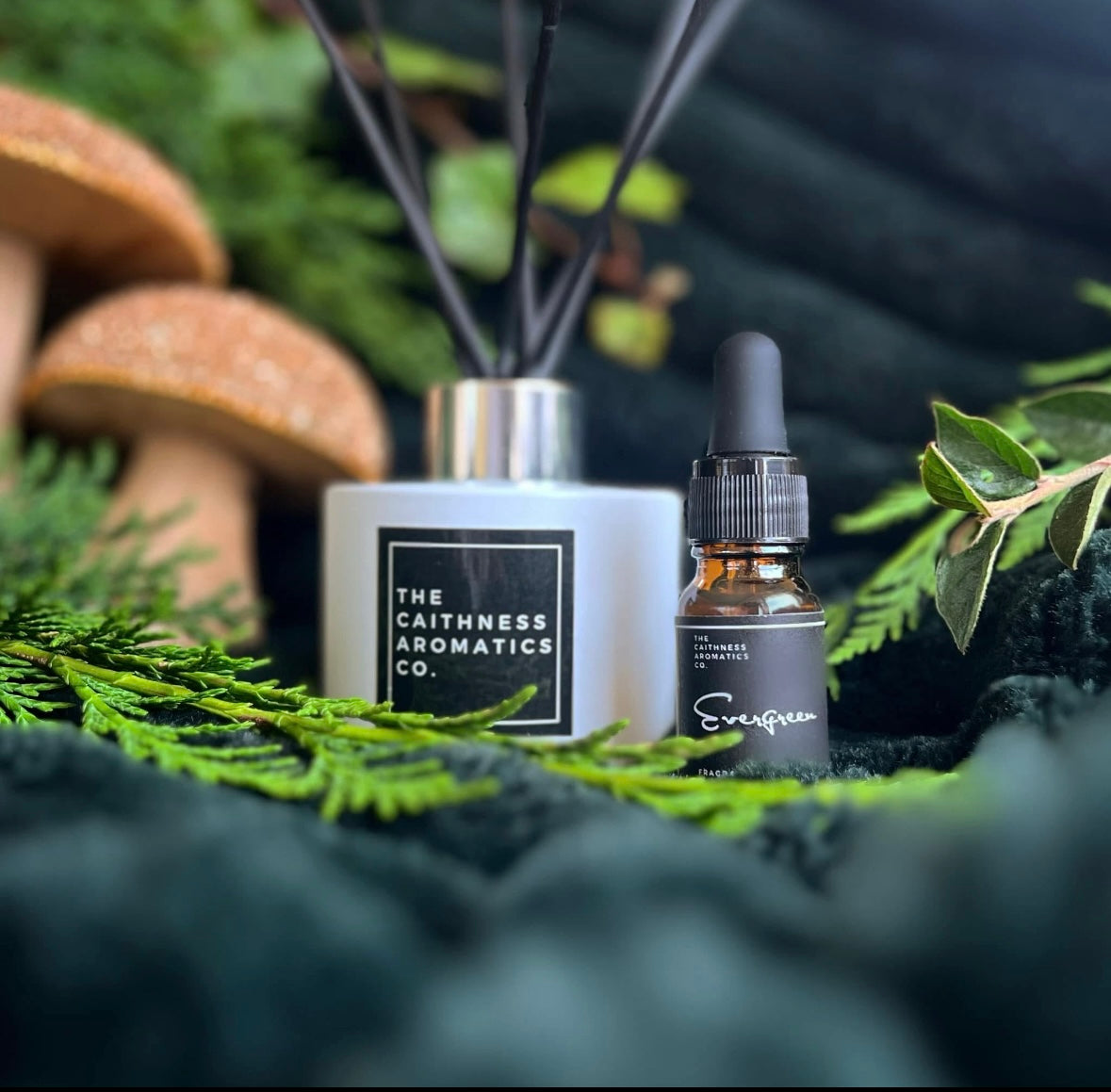 Caithness Aromatics Fresh Evergreen Reed Diffuser
