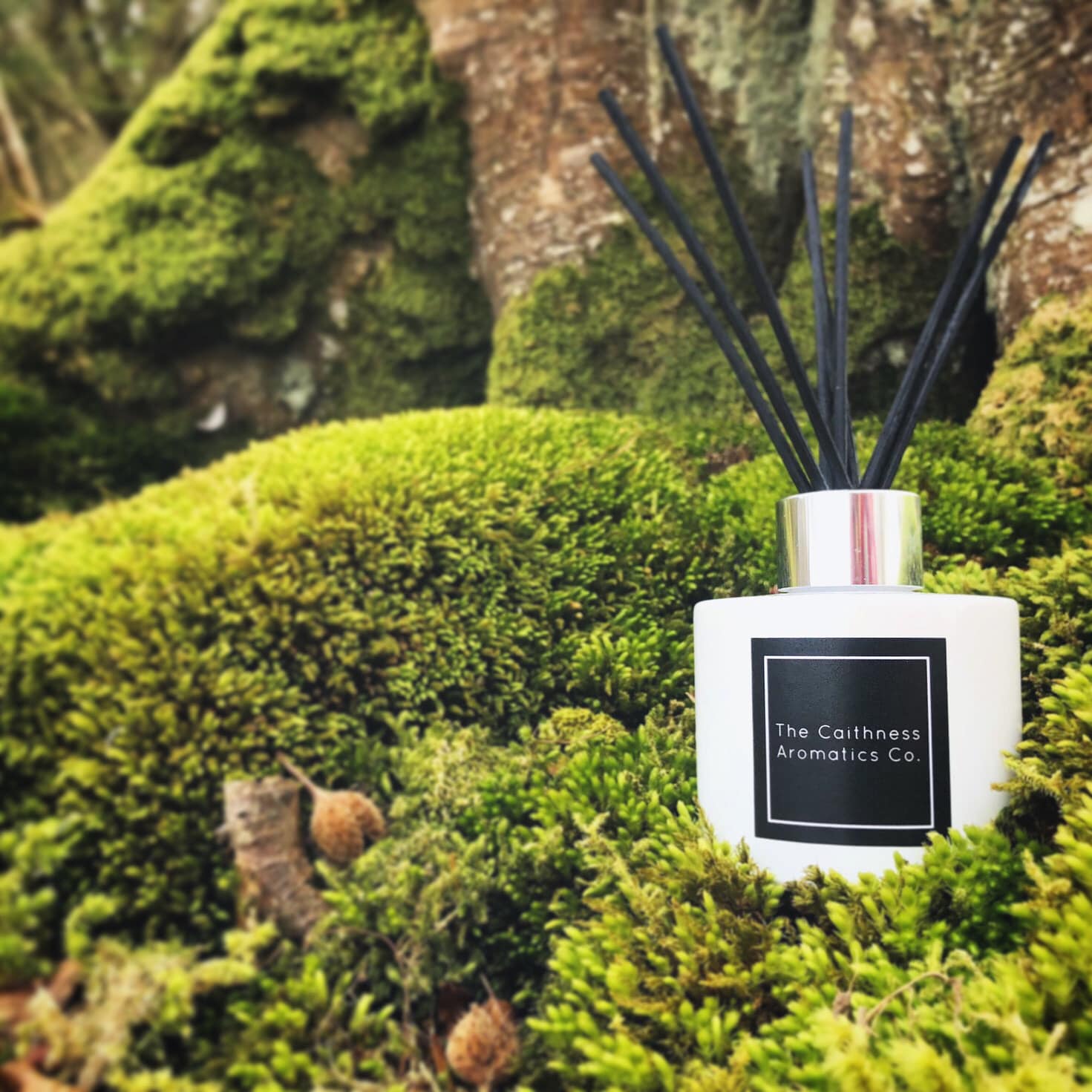 Lemongrass & Ginger Reed Diffuser