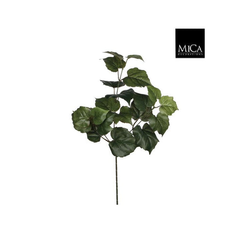 Cotton Spray Green - L58cm