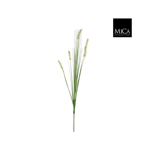 Dogtail Grass Green