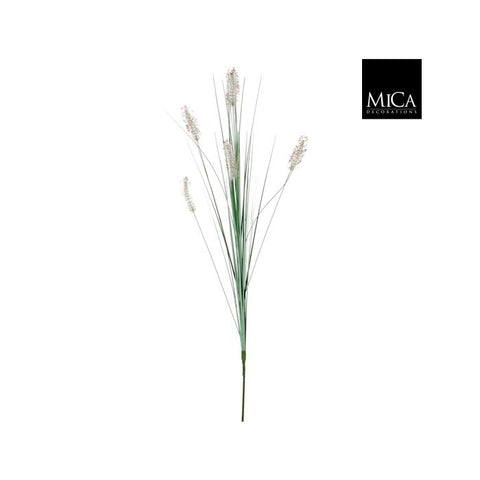 Dogtail Grass Light Green