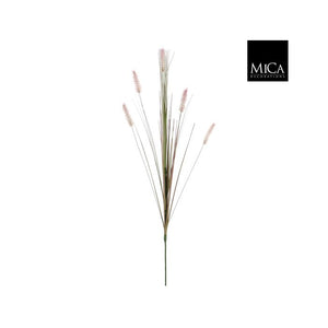 Dogtail Grass Purple 84cm