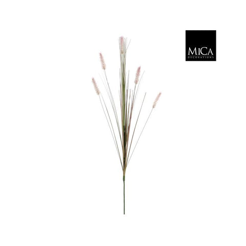 Dogtail Grass Purple 84cm