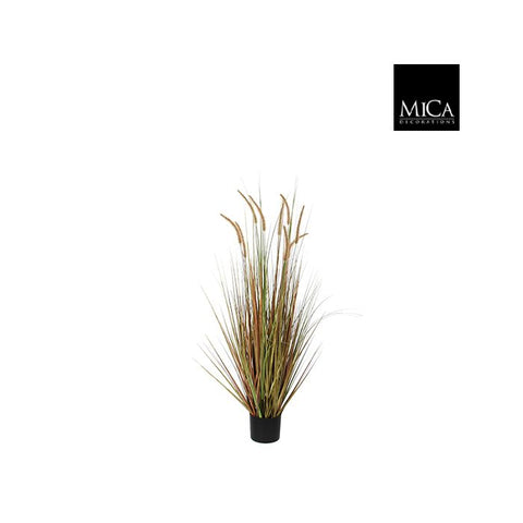 Artificial Plume Grass Dogtail in pot