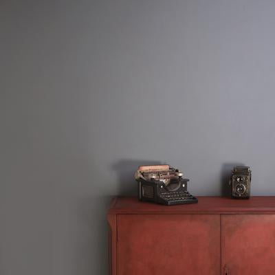Frenchic Chalk Wall Paint Gentleman's Club