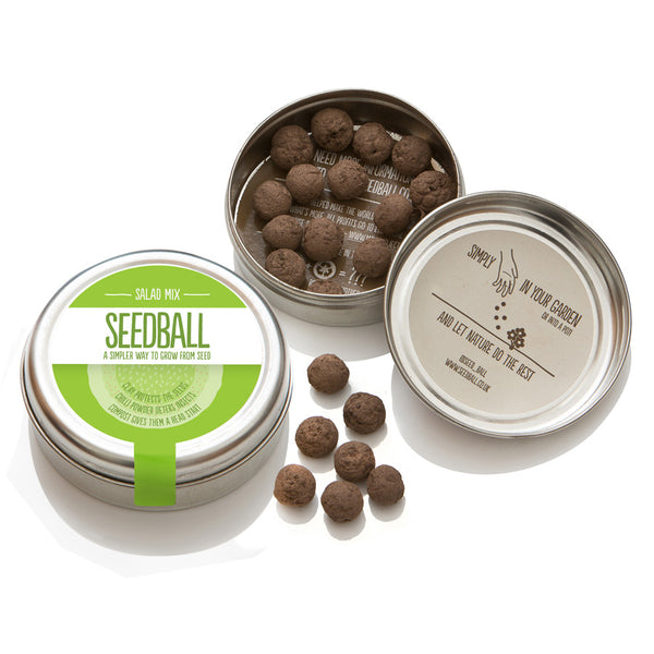 Seedball Salad Tin Mix