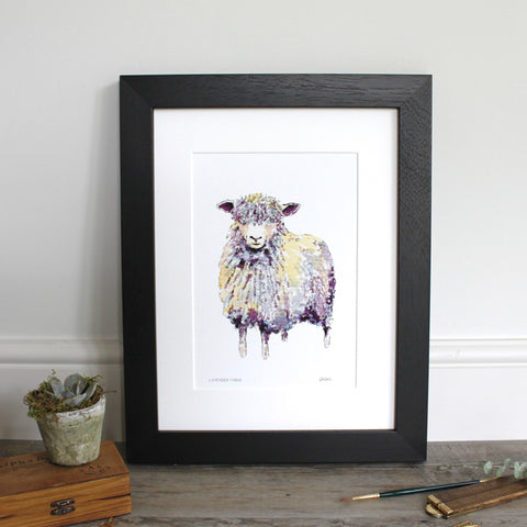 Lavendar Yarns Longwool Sheep 12x16" Mounted Fine Art Print
