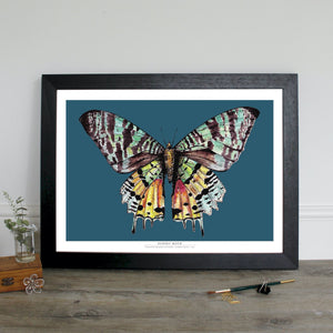 Madagascan Sunset Moth Teal Digital Print