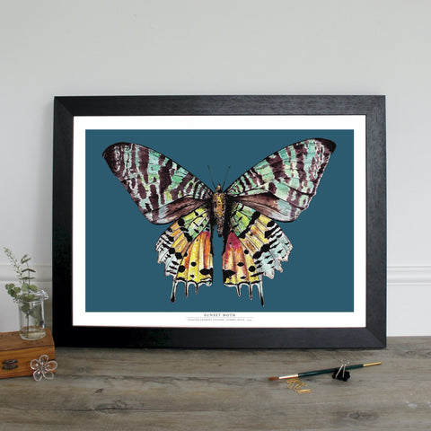 Madagascan Sunset Moth Teal Digital Print