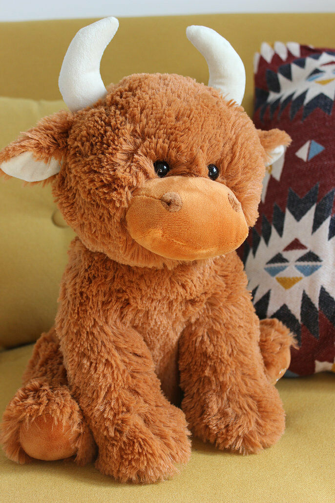 Large Highland Coo