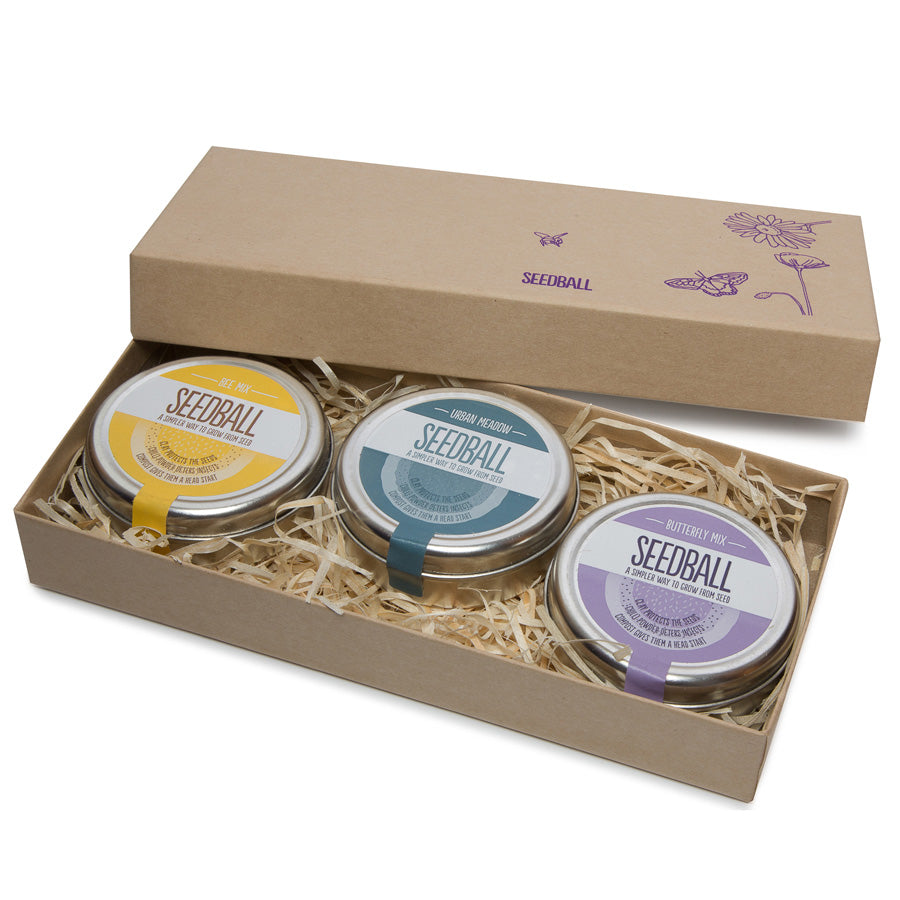 Seedball 3 tin Gift Box